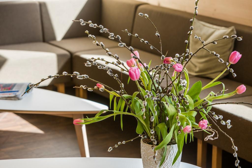 Nova Casa Spinatscha Sedrun 호스텔 외부 사진